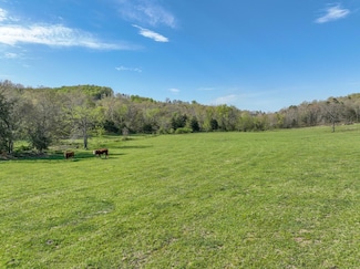 0 County Road 246, Champion Township, MO 65638