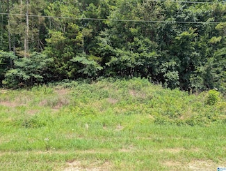 6451 Deerfoot Pkwy, Trussville, AL 35173