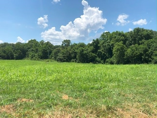 001-04218-002 Cr 108, Norfork, AR 72658