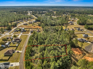 Lot # 209 Schrader Ct, Saucier, MS 39574