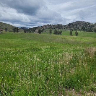 12748 Beaver Creek Rd, Custer, SD 57730