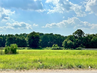 4153 Jenny Ln, Hernando, MS 38632