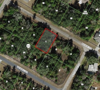 3102 W Juliet Place, Citrus Springs, FL 34433