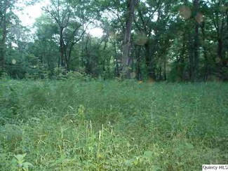 0 Hwy 156 W Unit 188778, Ewing, MO 63440