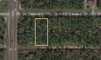 721 Hibiscus Ave, Lake Wales, FL 33853