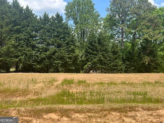 210 Thompson Trail, Milton, GA 30004