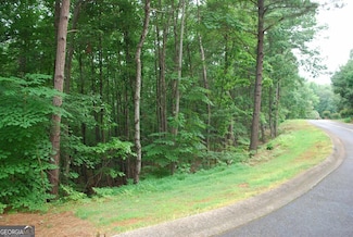 742 Plum Ln, Clarkesville, GA 30523