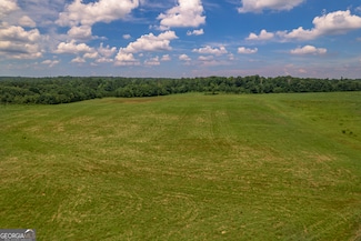 265 Hamil Rd Unit 31.89 AC, Griffin, GA 30223