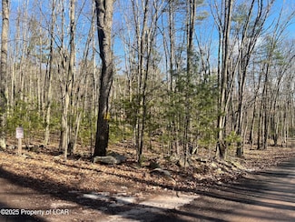 0 Hilltop Dr, Black Creek Township, PA 18249