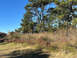 Lot C Lekites Dr Unit C, Chincoteague, VA 23336