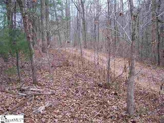 159 Broken Bow Run, Pickens, SC 29671