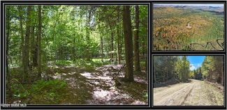 98 Carriage Knoll Rd, Chester, NY 12817