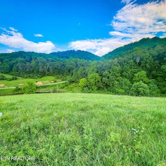 173 Claudes Nest, Sharps Chapel, TN 37866