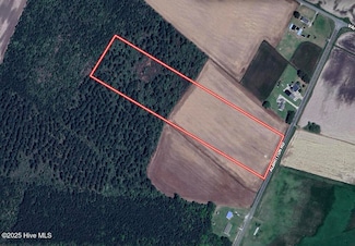 03 Albritton Rd, Snow Hill, NC 28580