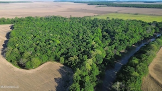 0 County Road 523, Schlater, MS 38952