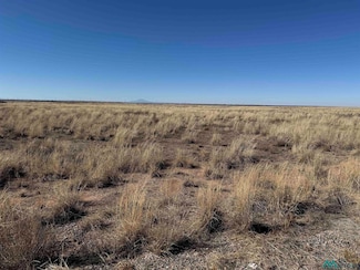 00 Wrangler Rd, Roswell, NM 88201