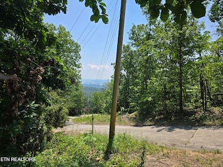 0 Wallen Ln, Bean Station, TN 37708