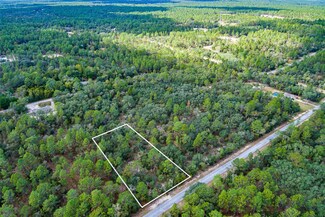 0 SW Big Tree Rd Unit MFRO6244263, Dunnellon, FL 34431