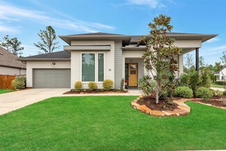 111 Dandelion Way, Montgomery, TX 77316