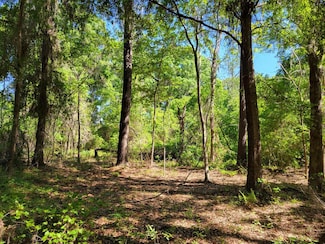0W0 SE 150th St, Starke, FL 32091