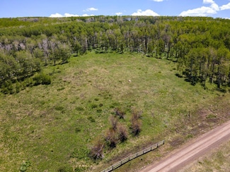 2A Spruce Mountain Trail Unit 2A, Placerville, CO 81430