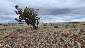 126 N Laguna Dr Lot D, Williams, AZ 86046