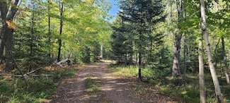 401 Big Arn's Rd, Lapointe, WI 54850