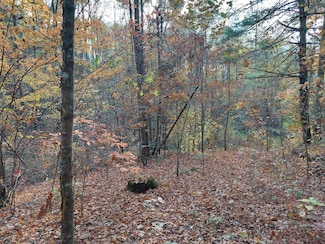 1.76 Acres Sugar Maple Way, Del Rio, TN 37727