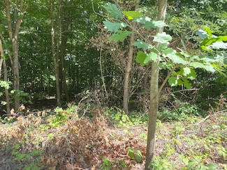 2184-2266 S 150000 E Rd, Pembroke Township, IL 60958