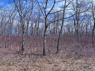 Lot 5 Highland Pines Rd, Presque Isle, MI 49777