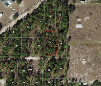 6031 W Ann Marie Ct, Dunnellon, FL 34433