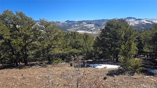 Lot 7527 McGillicuddy Rd, Fort Garland, CO 81133