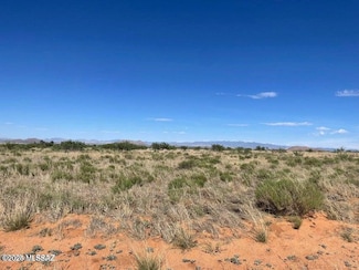 0 3 33 Acres On March St Unit 5, Pearce, AZ 85625