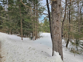 437 River Rd, Acworth, NH 03601