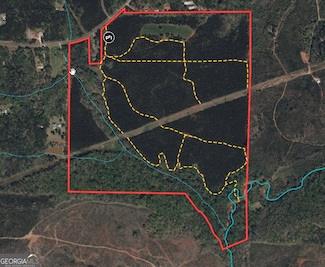 180.14 AC Johnson Mill Rd, Hamilton, GA 31811
