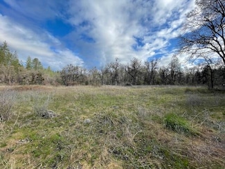 160 Acres Donkey Mine and Madison, Oak Run, CA 96069