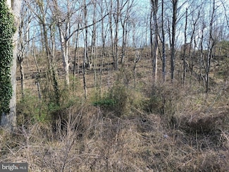 Lot F12 Us Highway 340 N, Luray, VA 22835