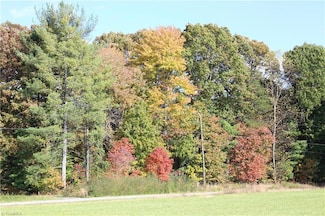 TBD Old Quarry Rd, State Road, NC 28676