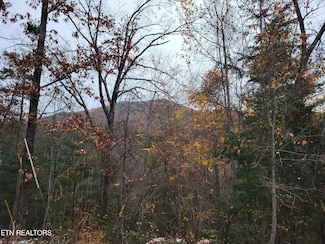 Lot 21 Hickory St, Sevierville, TN 37862