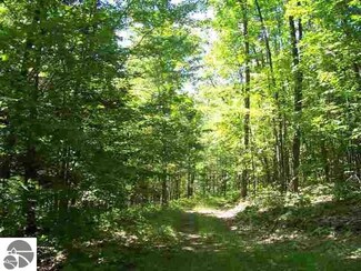 0 E Houghton Creek Rd Unit 1779121, Rose City, MI 48654
