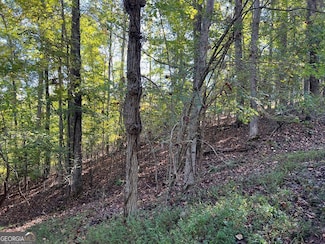 Lot 23 Tahlequah Ridge, Hayesville, NC 28904