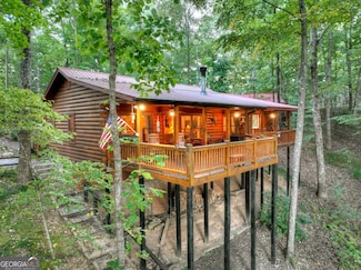 9 Joanna Ct, Cherry Log, GA 30522