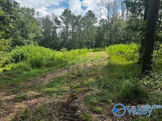 128 Savannah Cir, Cherokee Ridge, AL 35175