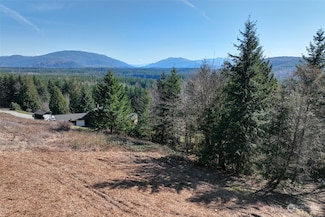 27619 SE 264th St, Ravensdale, WA 98051