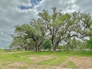 0 County Road 770, Natalia, TX 78059