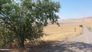 NNA Cheyne Rd, Zillah, WA 98953