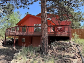 561 Quartz Cir, Bailey, CO 80421
