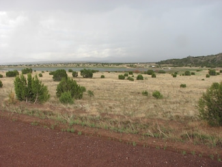 21 & 23 County Road 8001, Concho, AZ 85924