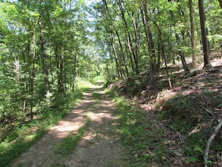 0 Penny Ln Unit 2817887, James Creek, PA 16657