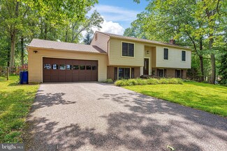 12401 Linganore Woods Ln, Monrovia, MD 21770